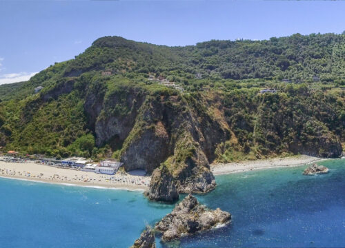 Palmi